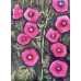 “Bright Hollyhocks” – Original Painting by Marina Stognieva